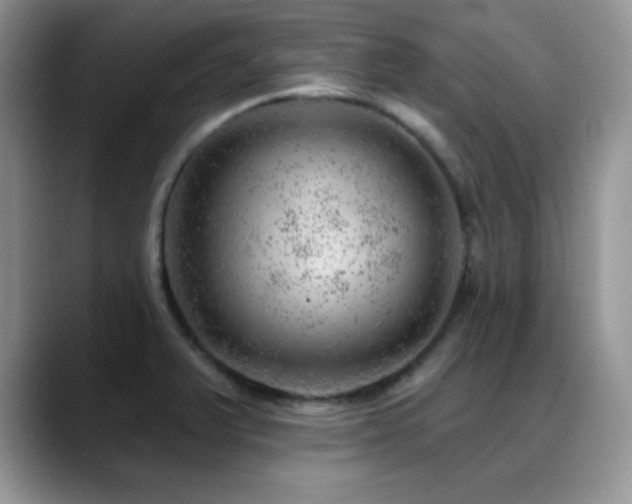 X0000088901375200706081258