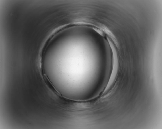 X0000088901376200706081258