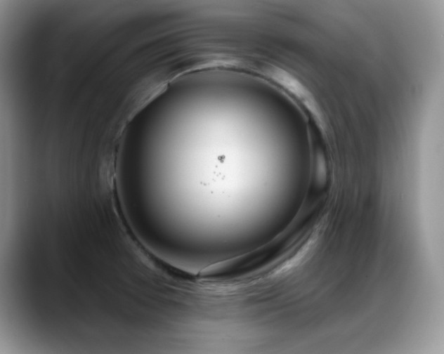 X0000088901377200706081258