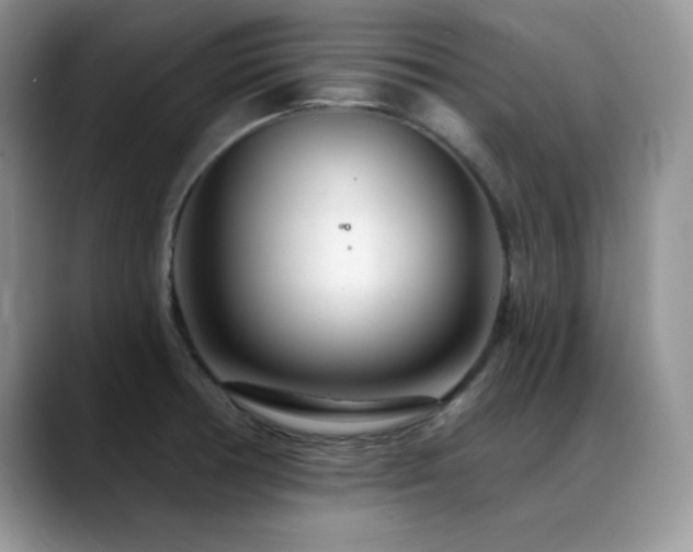 X0000088901378200706081258