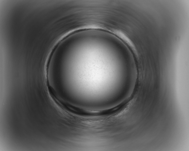 X0000088901380200706081258