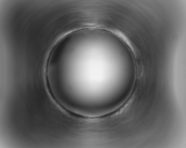 X0000088901381200706081258