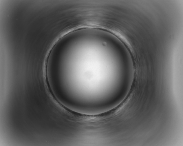 X0000088901382200706081258