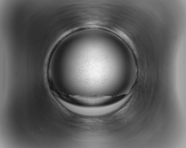 X0000088901384200706081258