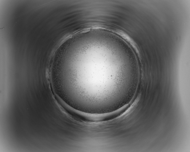 X0000088901385200706081258