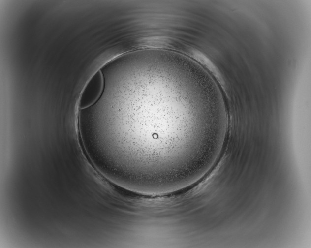 X0000088901386200706081258