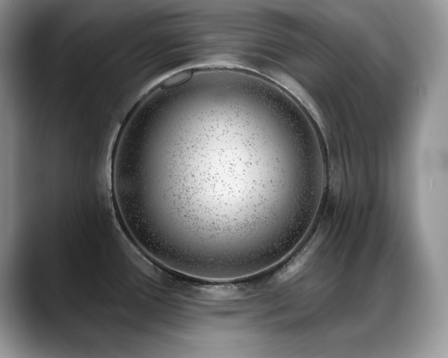 X0000088901388200706081258