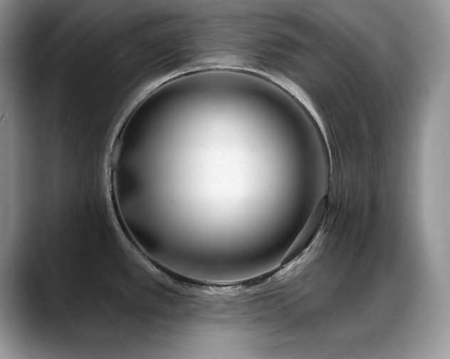 X0000088901389200706081258