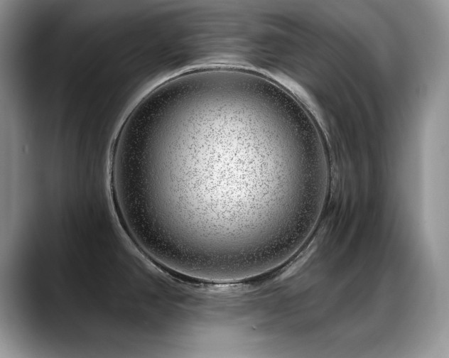 X0000088901390200706081258