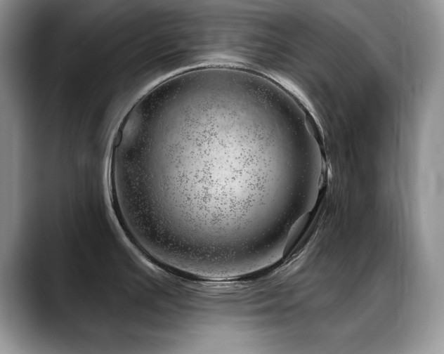 X0000088901391200706081258