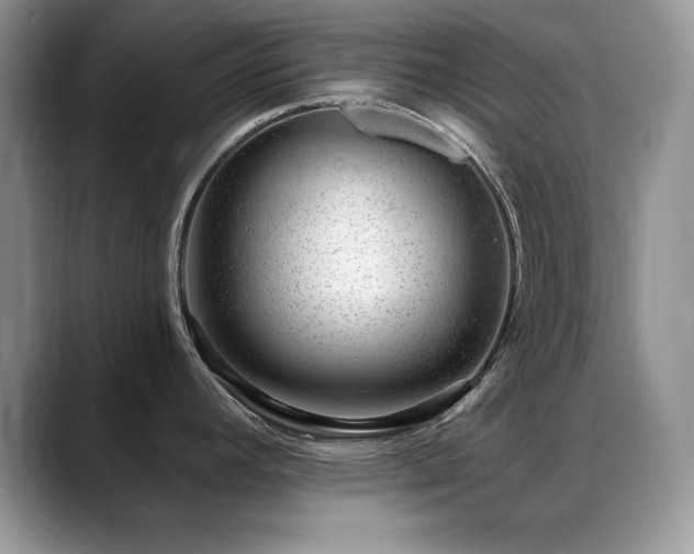 X0000088901392200706081258