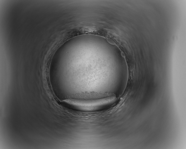 X0000088901393200706081257