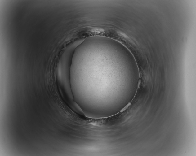 X0000088901394200706081257