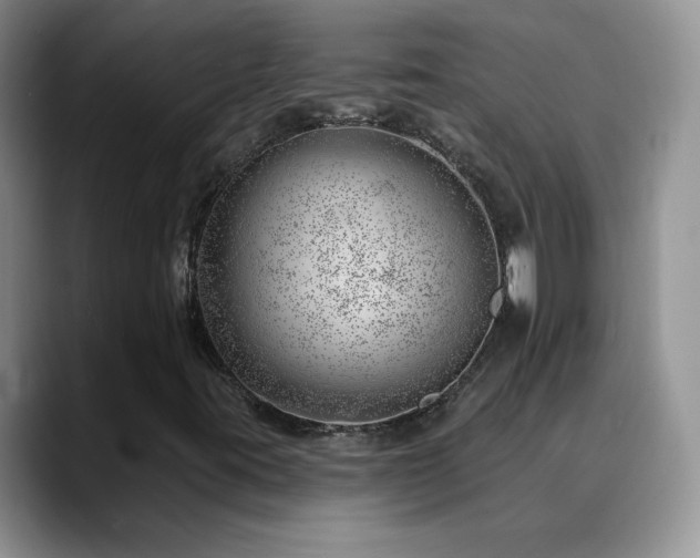 X0000088901395200706081257