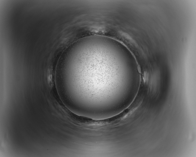 X0000088901396200706081257