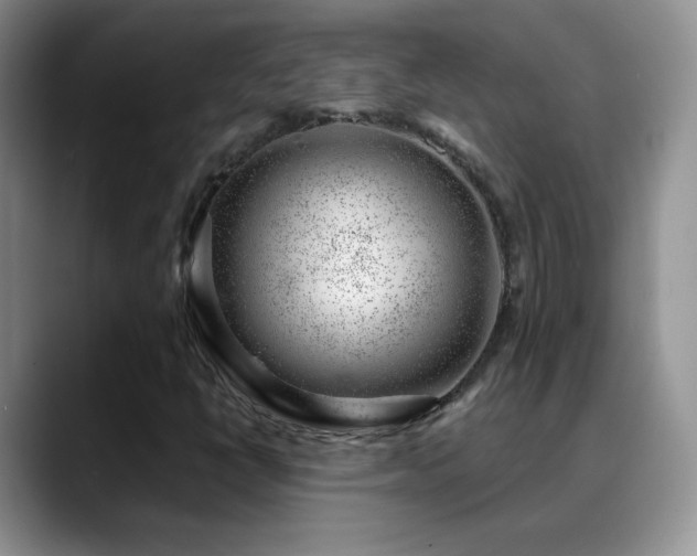 X0000088901398200706081257