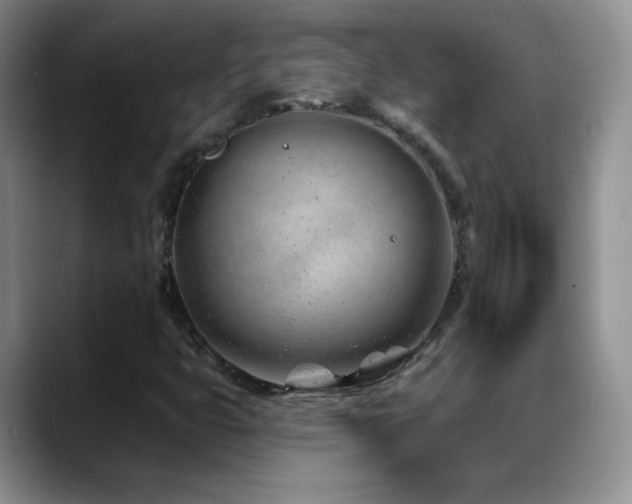 X0000088901399200706081257
