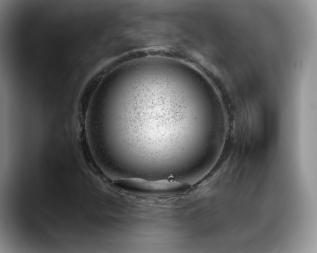 X0000088901400200706081257