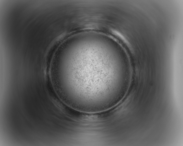 X0000088901403200706081257