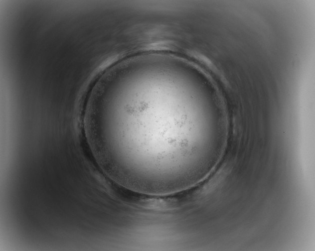 X0000088901405200706081257