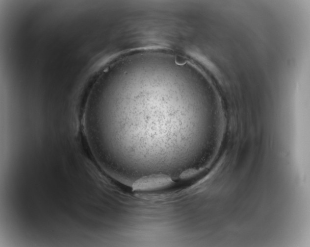 X0000088901407200706081257