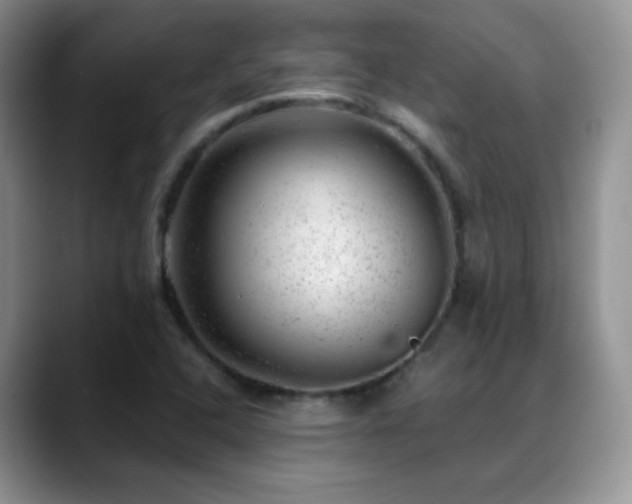 X0000088901408200706081257
