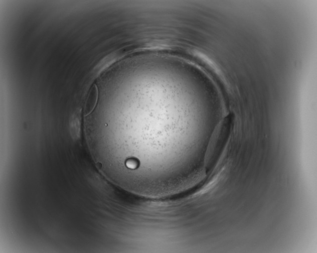 X0000088901409200706081257