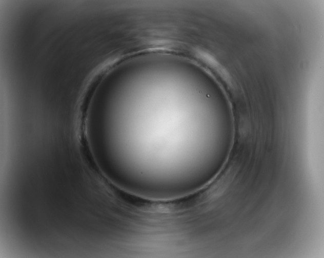 X0000088901411200706081257