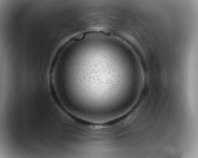 X0000088901412200706081257