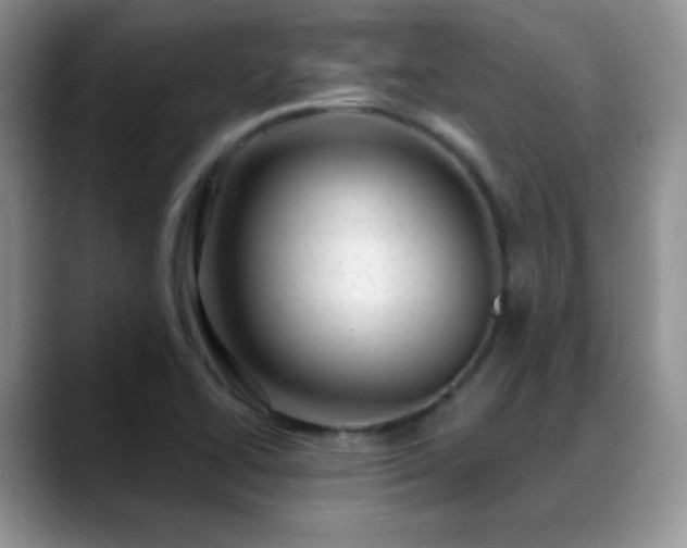 X0000088901414200706081257