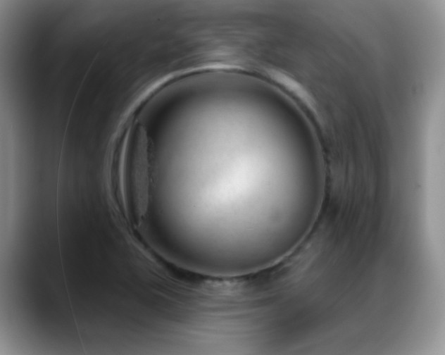 X0000088901415200706081257