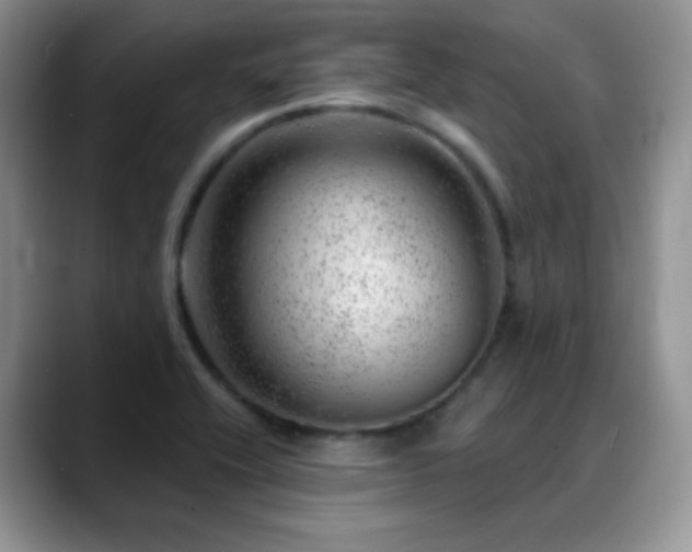 X0000088901416200706081258