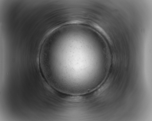 X0000088901417200706081258