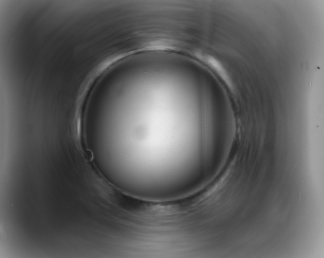 X0000088901419200706081258