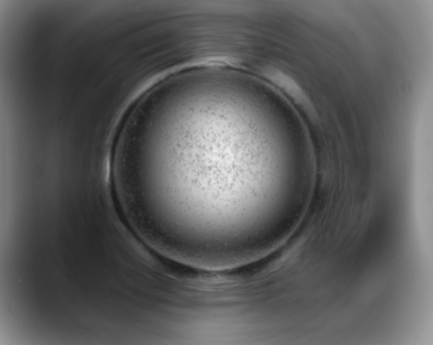 X0000088901420200706081258