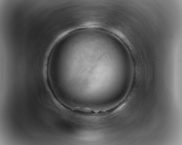 X0000088901421200706081258