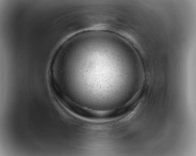 X0000088901422200706081258