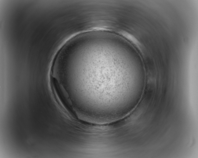 X0000088901423200706081258