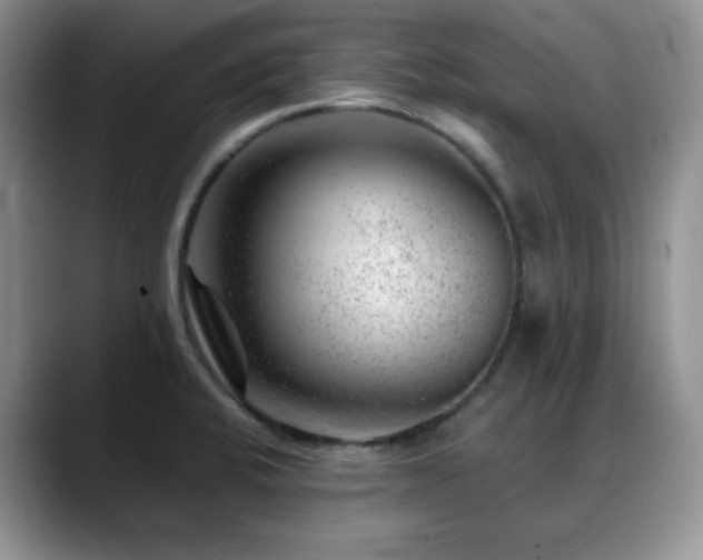 X0000088901424200706081258