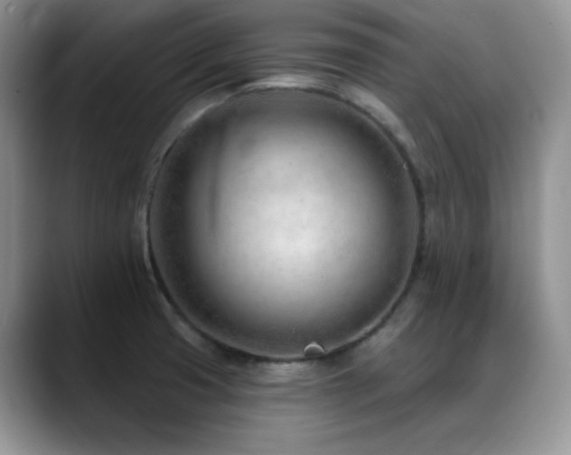 X0000088901425200706081258
