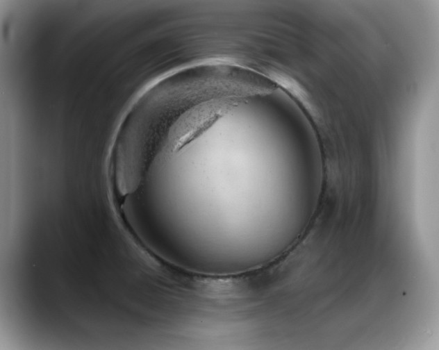 X0000088901428200706081258