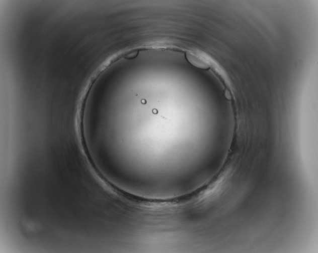 X0000088901429200706081258