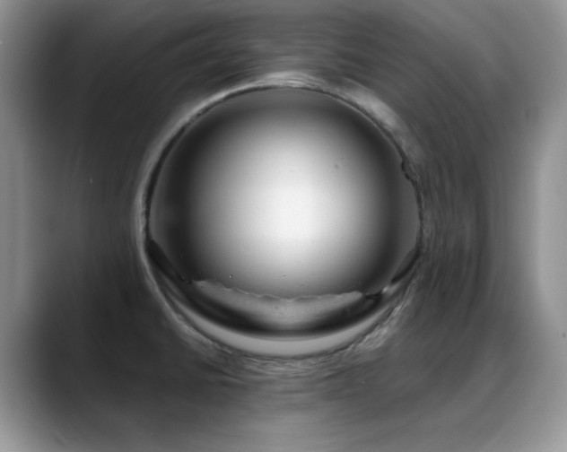 X0000088901430200706081258