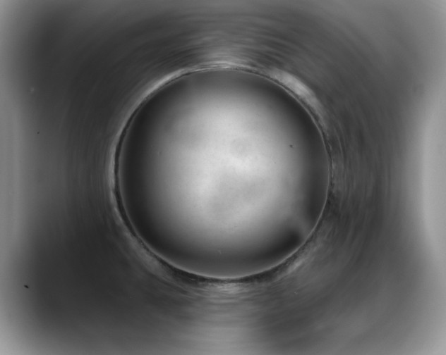 X0000088901431200706081258