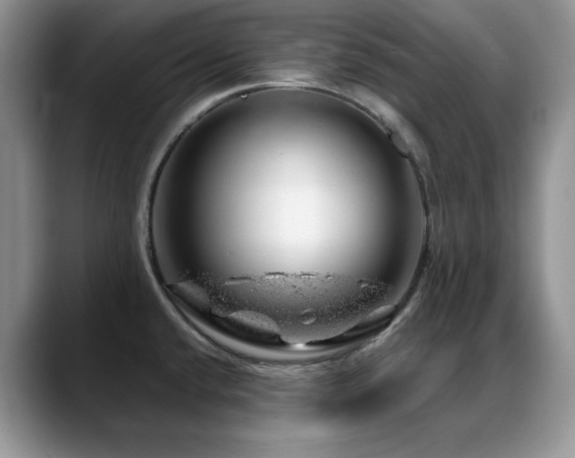 X0000088901432200706081258