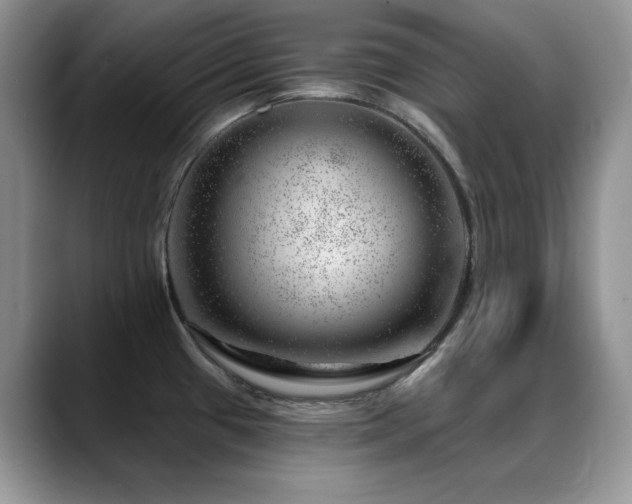X0000088901433200706081258