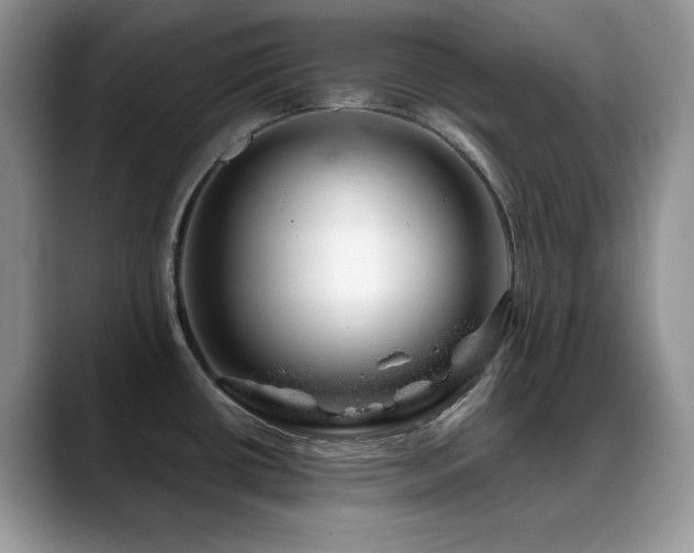 X0000088901434200706081258