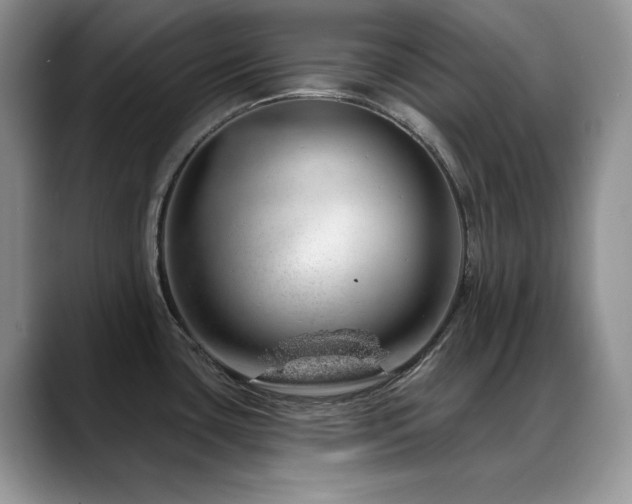 X0000088901435200706081258