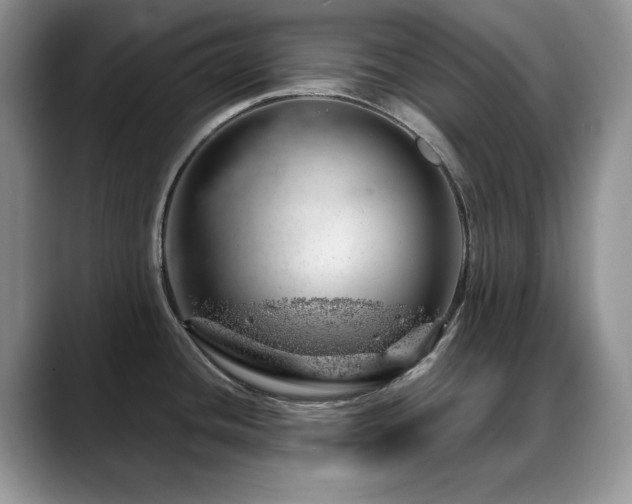 X0000088901436200706081258