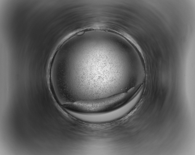 X0000088901437200706081258